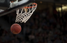 美国职业篮球联赛NBA标志，篮球与红蓝配色
